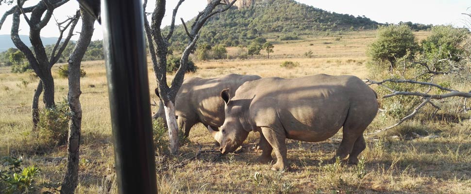 Clare on her South Africa Safari