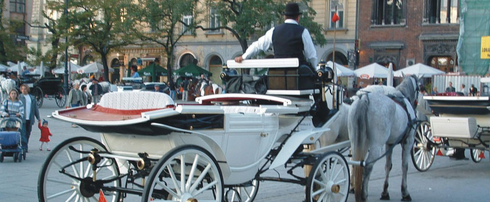 Horse and Cart at Krakow