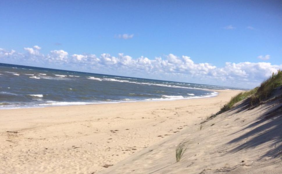 mandy cape cod dunes