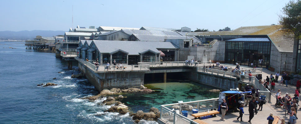 Monterey Bay